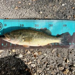 雪の残る中❄️