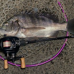 今夜も仕事帰り近所の川15分チニング！