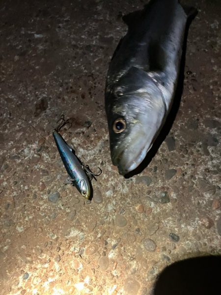 3投目で見事ヒット❗️しかしその後アタリ無し