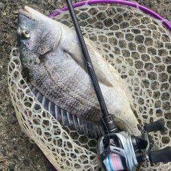 2週連続のつ抜け！