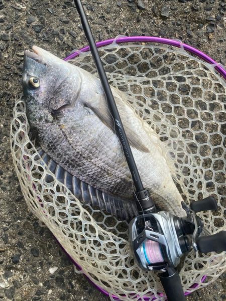 2週連続のつ抜け！