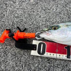 爆風の中泊でダイソージグ