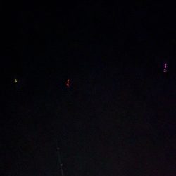 初釣りはヤリイカ(*´꒳`*)