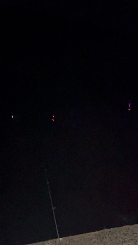 初釣りはヤリイカ(*´꒳`*)