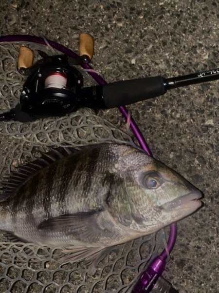 超ショートバイト!