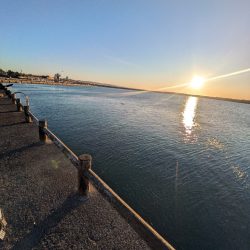 ライトゲーム全く…サビキでサッパ良好！