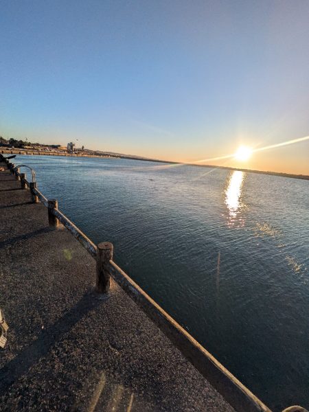 ライトゲーム全く…サビキでサッパ良好！