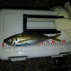 フロートゲーム～