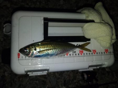 フロートゲーム～