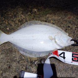 2025ファーストフィッシュ