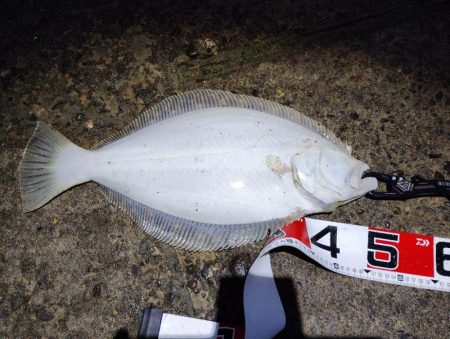 2025ファーストフィッシュ