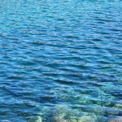 久しぶりのヤーツ