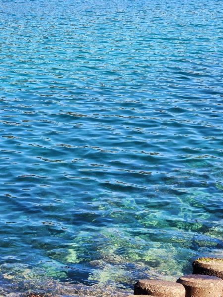 久しぶりのヤーツ