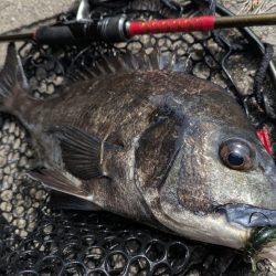 広島敷石ネチネチニング