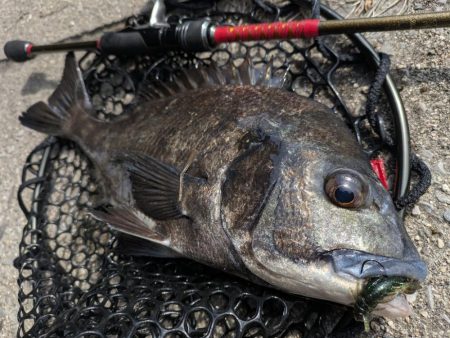 広島敷石ネチネチニング