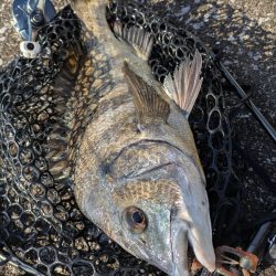 広島敷石ネチネチニング