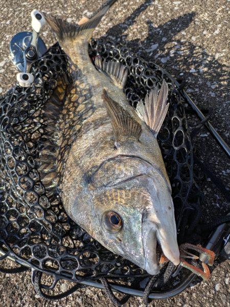 広島敷石ネチネチニング