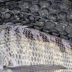 極寒チニングin呉