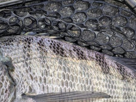 極寒チニングin呉