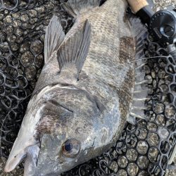 夜勤前寝坊チニング