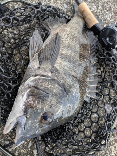 夜勤前寝坊チニング