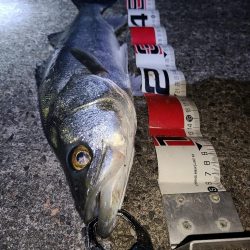 極寒フィッシングあれこれ。