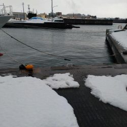 カサゴ1匹のみ…