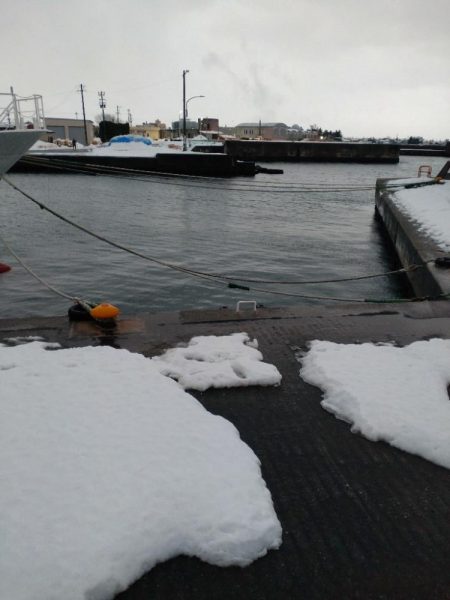 カサゴ1匹のみ…