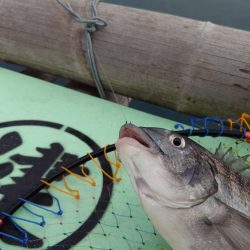 ついにこの日が…