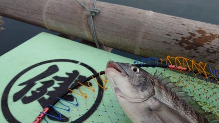 ついにこの日が…