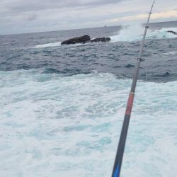 和歌山市江（吉丸渡船）でグレ釣り