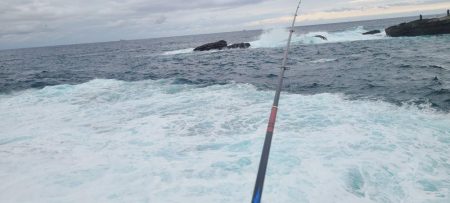 和歌山市江（吉丸渡船）でグレ釣り