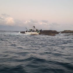 和歌山市江（吉丸渡船）でグレ釣り