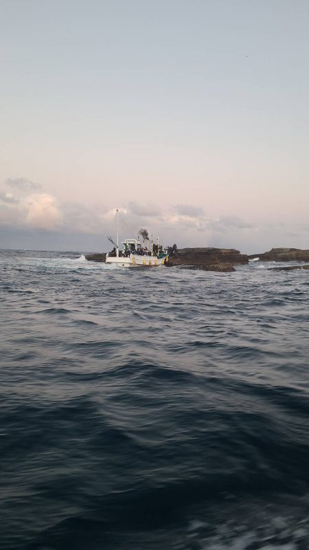 和歌山市江（吉丸渡船）でグレ釣り
