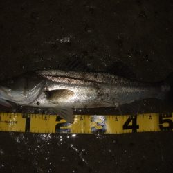 1バイトが貴重な厳寒期