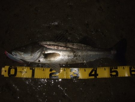 1バイトが貴重な厳寒期