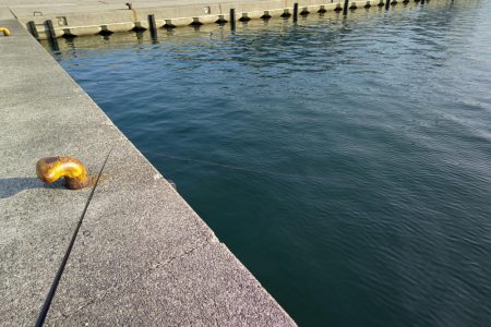 コウイカエギングえ