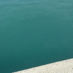 コウイカエギング