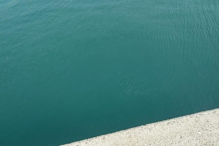 コウイカエギング