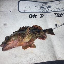 極寒のウキ釣り