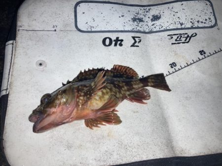 極寒のウキ釣り