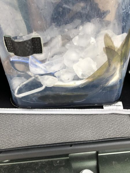 当たりポツポツ