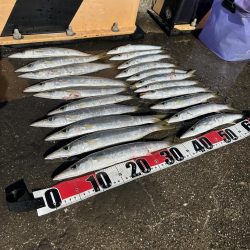 ★★カマス入れ掛で楽し過ぎ★★