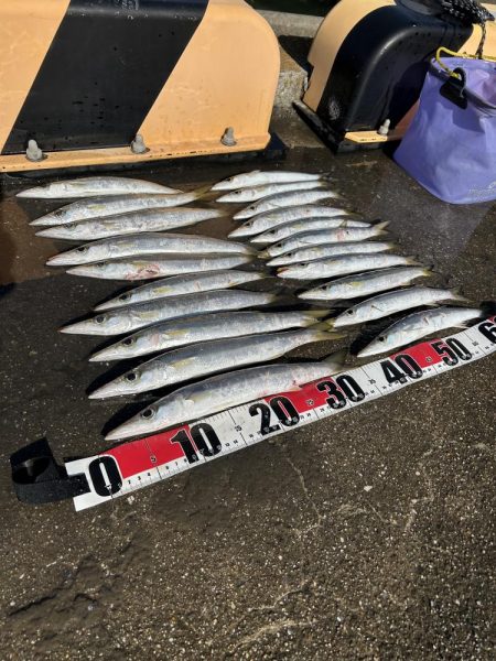 ★★カマス入れ掛で楽し過ぎ★★