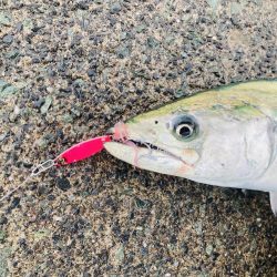 久々のマルチヒット