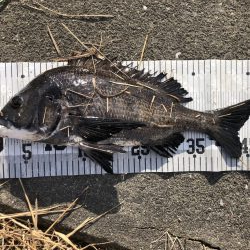 イチノ兄弟、釣果！