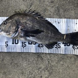 イチノ兄弟、釣果！