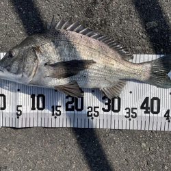 イチノ兄弟、釣果！