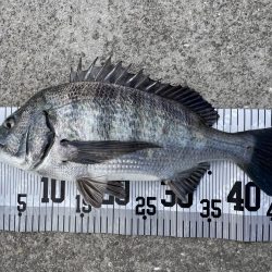 イチノ兄弟、釣果!