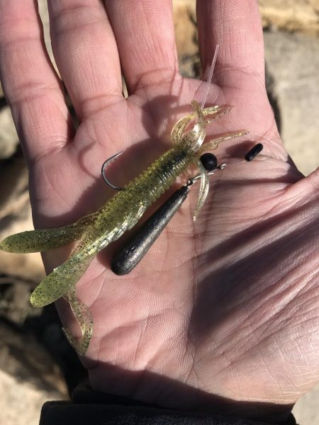 デイチニング始動